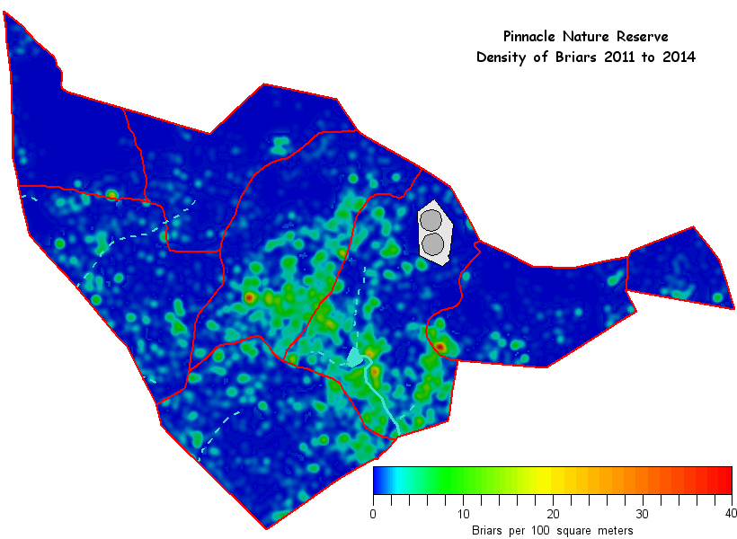 Briar density